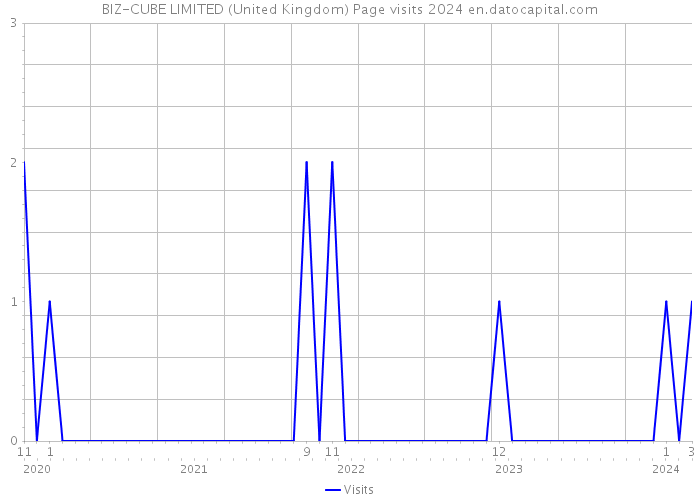 BIZ-CUBE LIMITED (United Kingdom) Page visits 2024 