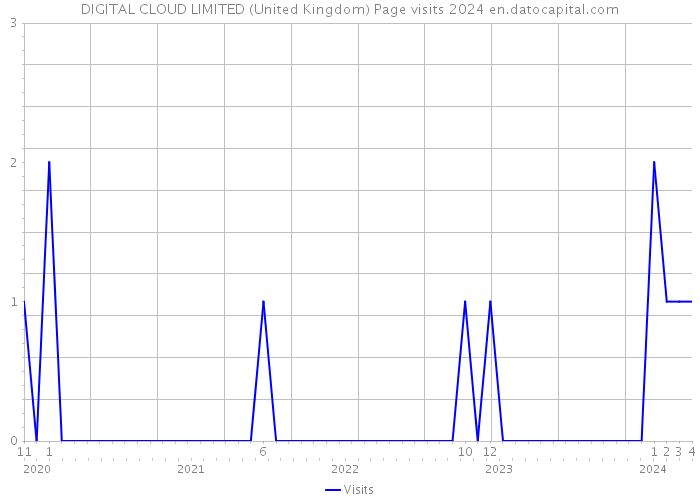 DIGITAL CLOUD LIMITED (United Kingdom) Page visits 2024 