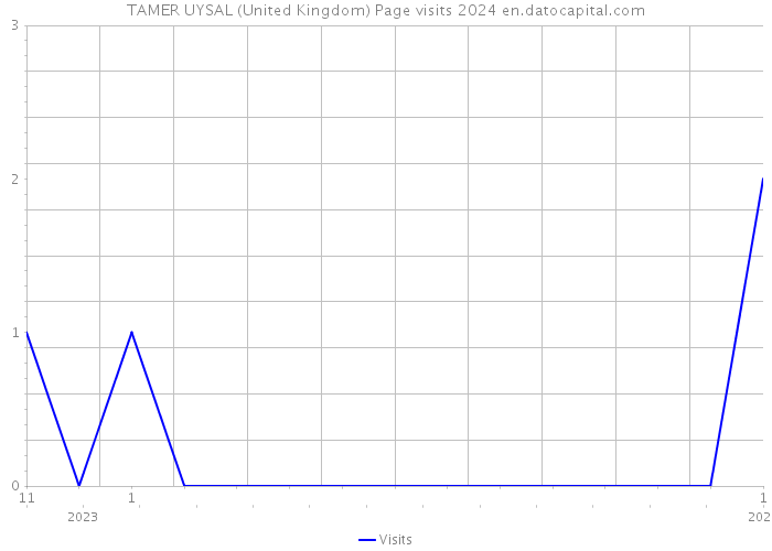 TAMER UYSAL (United Kingdom) Page visits 2024 
