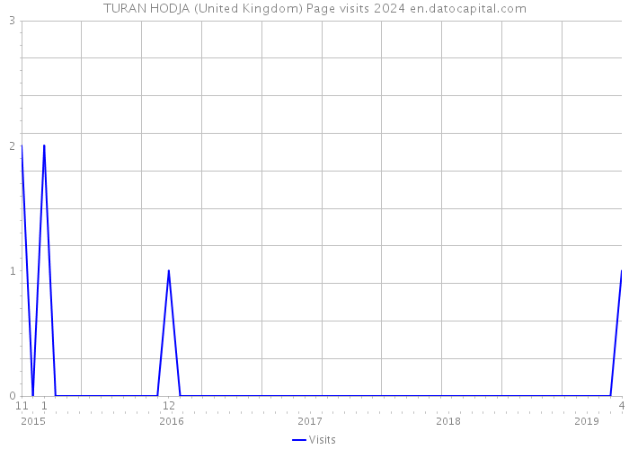 TURAN HODJA (United Kingdom) Page visits 2024 