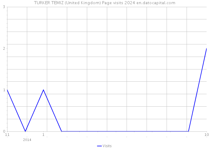 TURKER TEMIZ (United Kingdom) Page visits 2024 