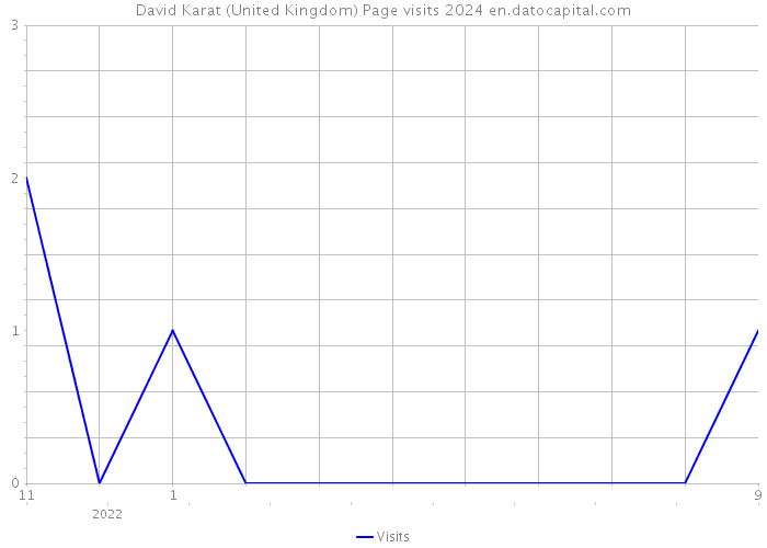 David Karat (United Kingdom) Page visits 2024 