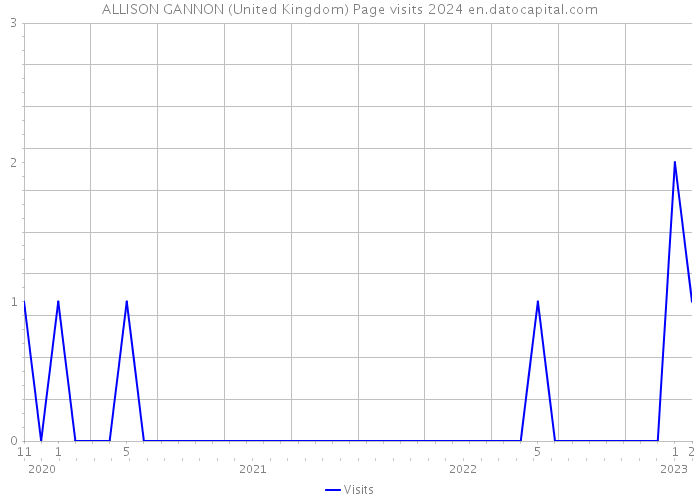 ALLISON GANNON (United Kingdom) Page visits 2024 