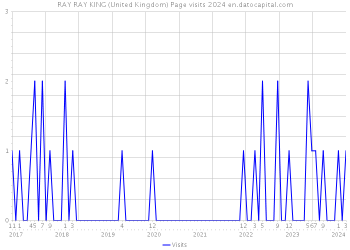 RAY RAY KING (United Kingdom) Page visits 2024 
