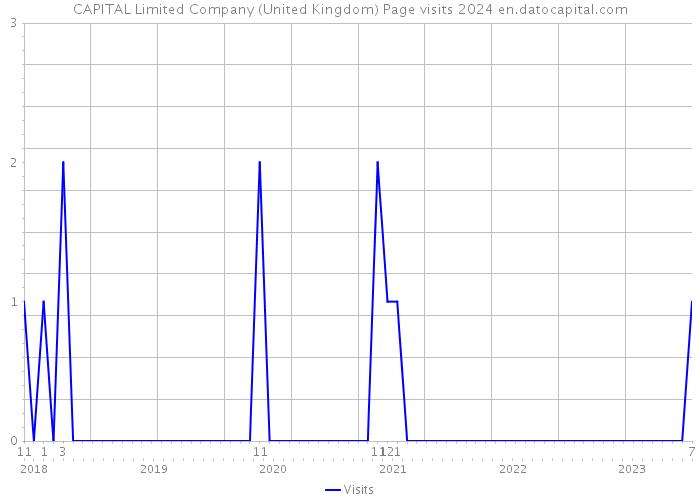 CAPITAL Limited Company (United Kingdom) Page visits 2024 