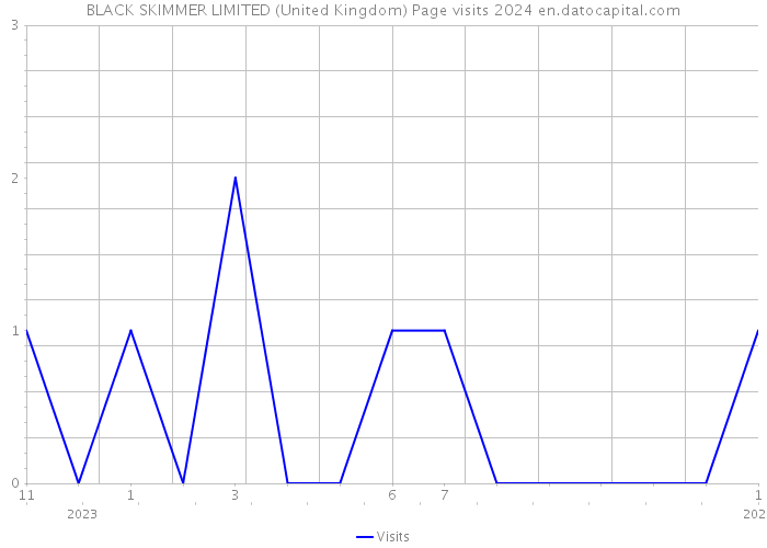 BLACK SKIMMER LIMITED (United Kingdom) Page visits 2024 