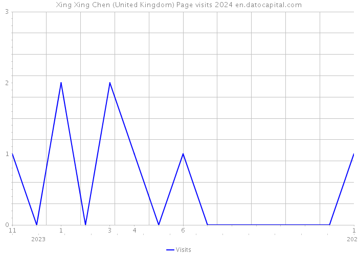 Xing Xing Chen (United Kingdom) Page visits 2024 