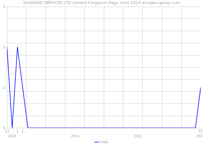 DIAMOND SERVICES LTD (United Kingdom) Page visits 2024 