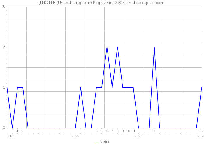 JING NIE (United Kingdom) Page visits 2024 