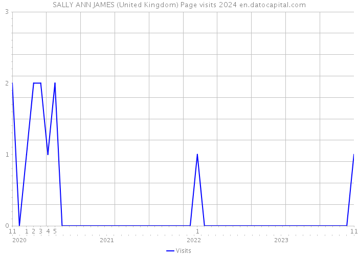 SALLY ANN JAMES (United Kingdom) Page visits 2024 