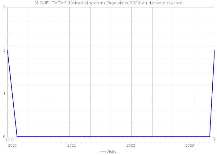 MIGUEL TATAY (United Kingdom) Page visits 2024 
