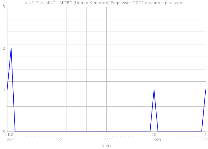 XING YUN XING LIMITED (United Kingdom) Page visits 2024 