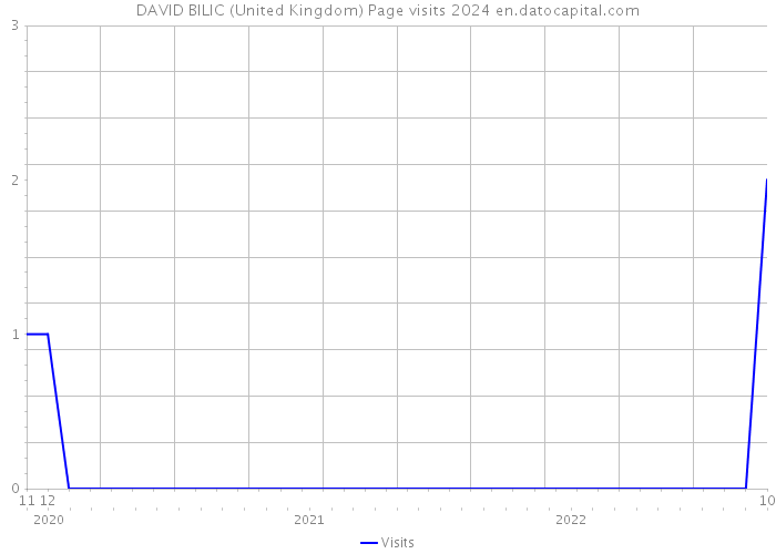 DAVID BILIC (United Kingdom) Page visits 2024 