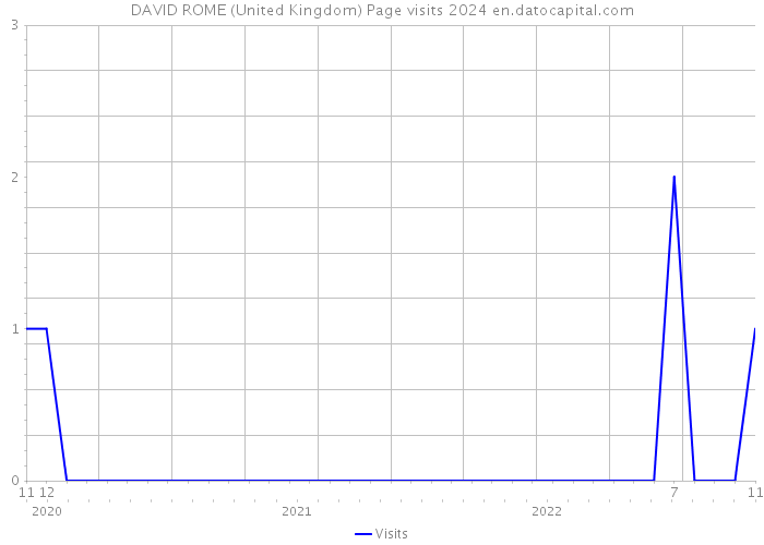 DAVID ROME (United Kingdom) Page visits 2024 