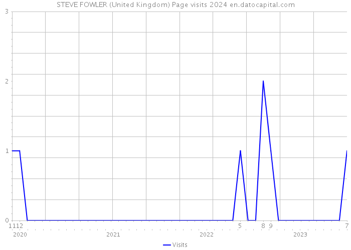 STEVE FOWLER (United Kingdom) Page visits 2024 