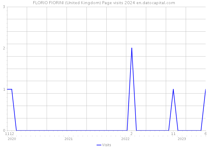 FLORIO FIORINI (United Kingdom) Page visits 2024 
