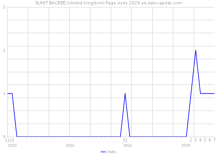 SUNIT BAGREE (United Kingdom) Page visits 2024 