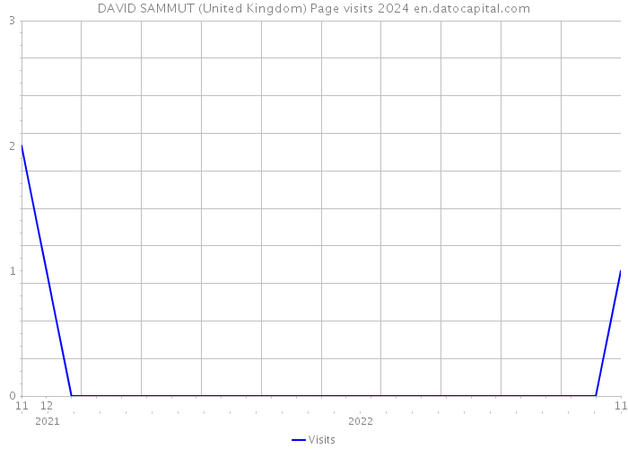 DAVID SAMMUT (United Kingdom) Page visits 2024 
