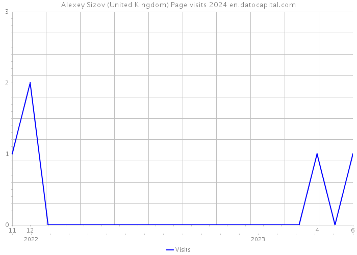 Alexey Sizov (United Kingdom) Page visits 2024 