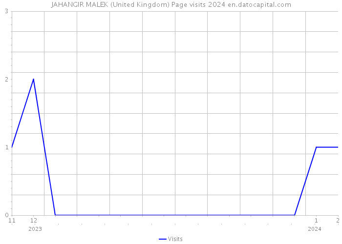 JAHANGIR MALEK (United Kingdom) Page visits 2024 