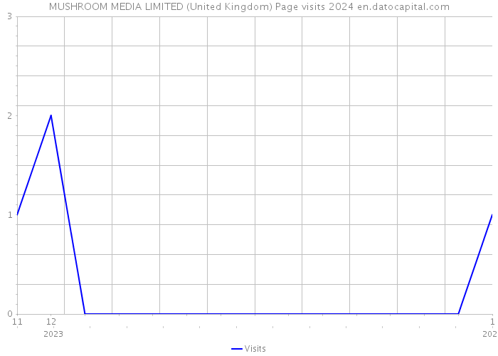 MUSHROOM MEDIA LIMITED (United Kingdom) Page visits 2024 
