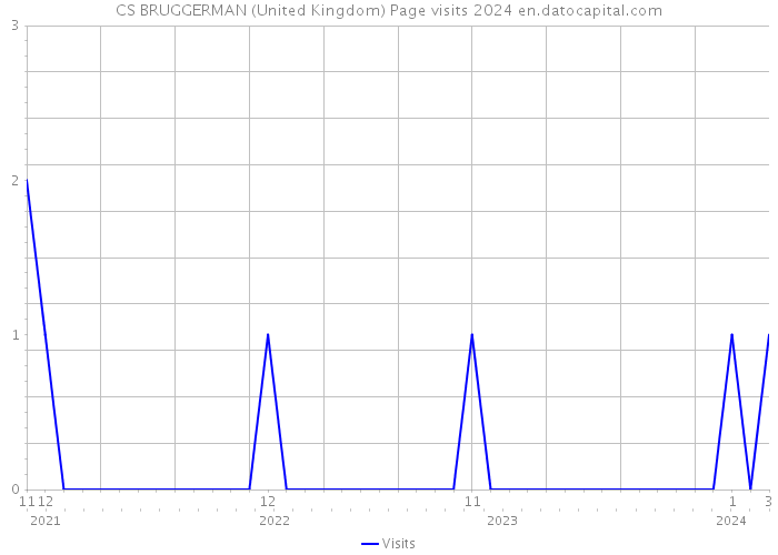 CS BRUGGERMAN (United Kingdom) Page visits 2024 