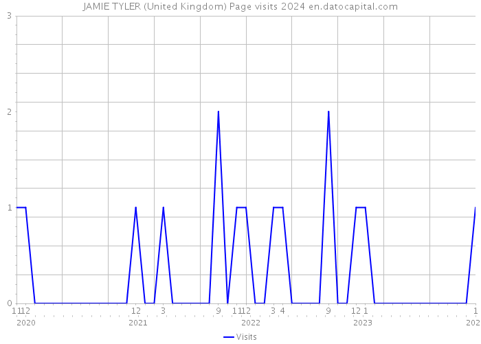 JAMIE TYLER (United Kingdom) Page visits 2024 