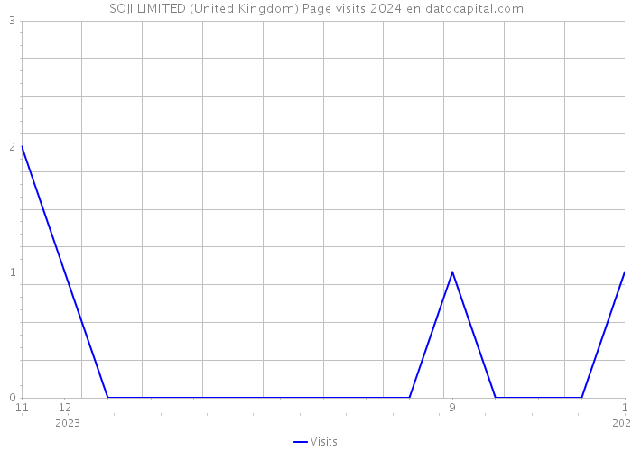 SOJI LIMITED (United Kingdom) Page visits 2024 