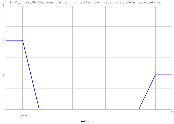 TRIPLE J HOLDINGS Limited Company (United Kingdom) Page visits 2024 
