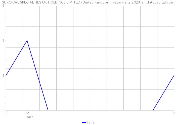 SURGICAL SPECIALTIES UK HOLDINGS LIMITED (United Kingdom) Page visits 2024 