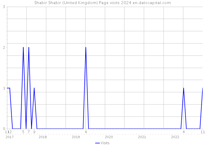 Shabir Shabir (United Kingdom) Page visits 2024 