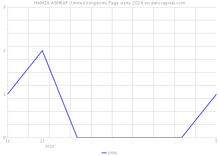 HAMZA ASHRAF (United Kingdom) Page visits 2024 