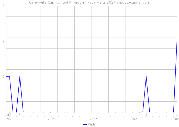 Genowefa Cap (United Kingdom) Page visits 2024 