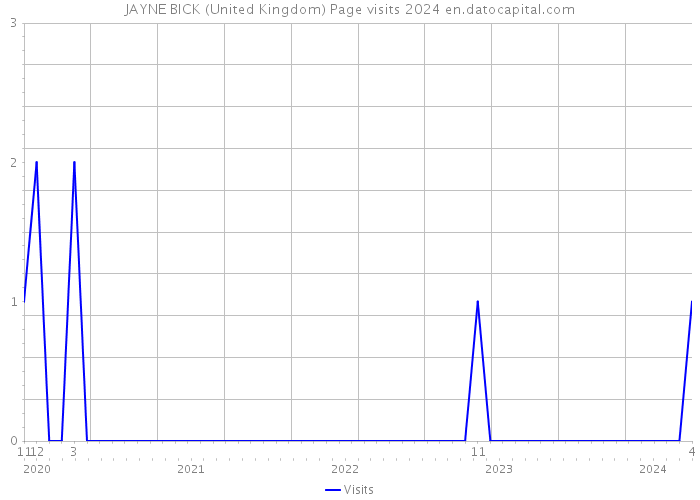 JAYNE BICK (United Kingdom) Page visits 2024 