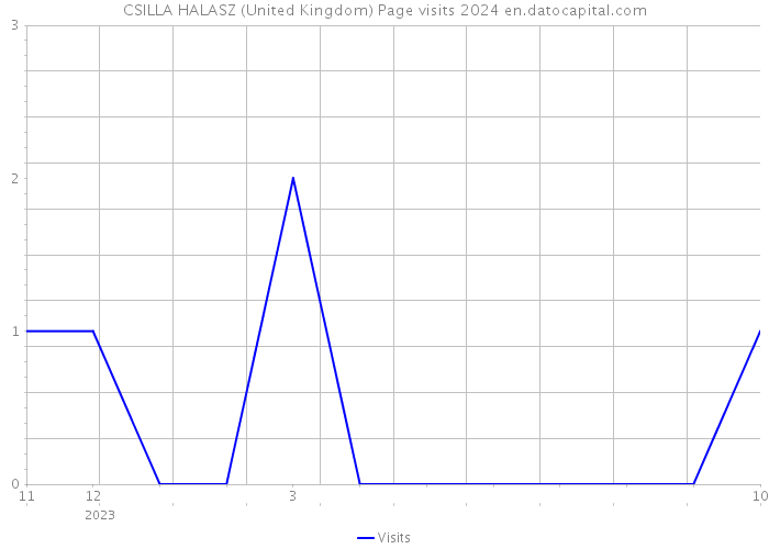 CSILLA HALASZ (United Kingdom) Page visits 2024 