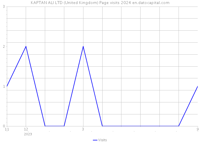KAPTAN ALI LTD (United Kingdom) Page visits 2024 
