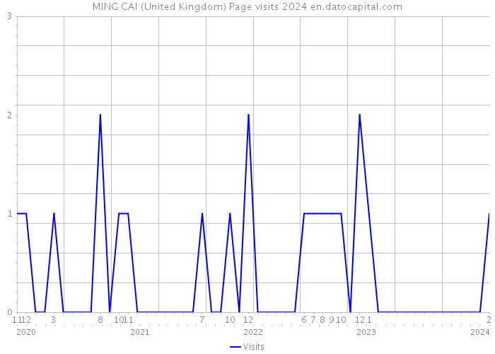 MING CAI (United Kingdom) Page visits 2024 
