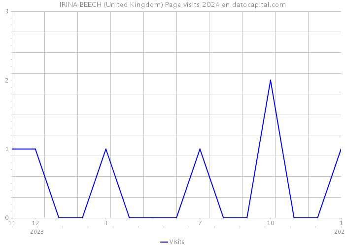 IRINA BEECH (United Kingdom) Page visits 2024 