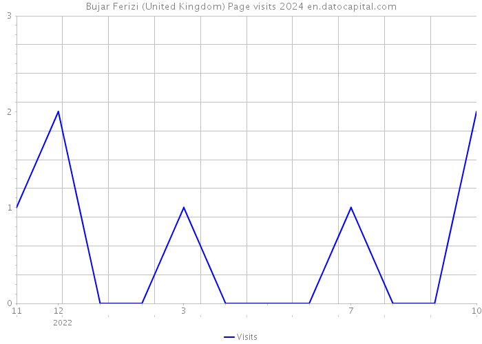 Bujar Ferizi (United Kingdom) Page visits 2024 