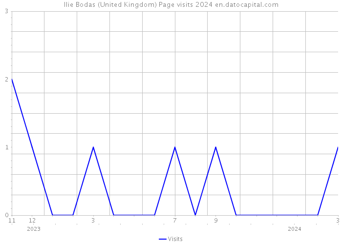 Ilie Bodas (United Kingdom) Page visits 2024 