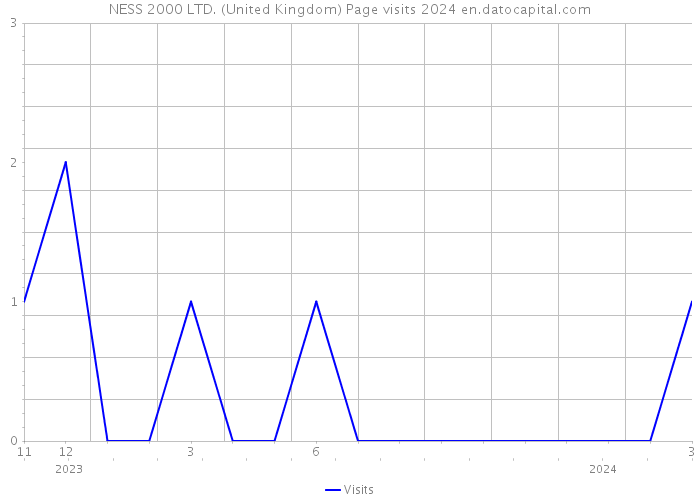 NESS 2000 LTD. (United Kingdom) Page visits 2024 