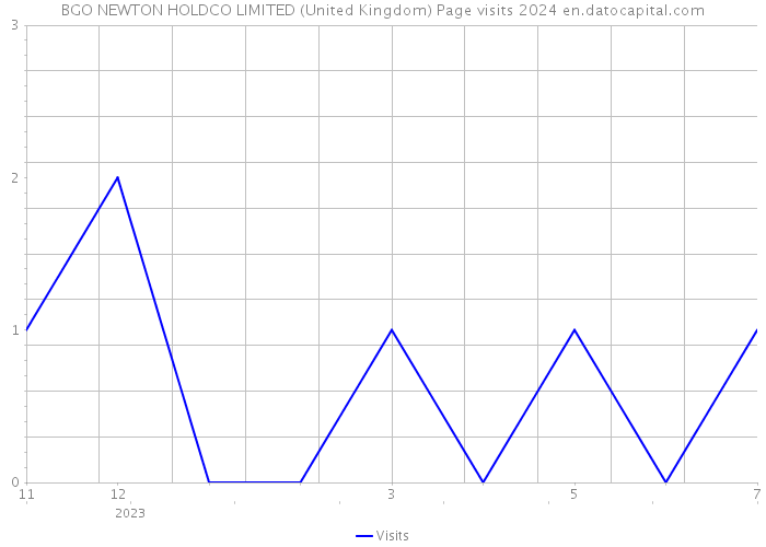 BGO NEWTON HOLDCO LIMITED (United Kingdom) Page visits 2024 