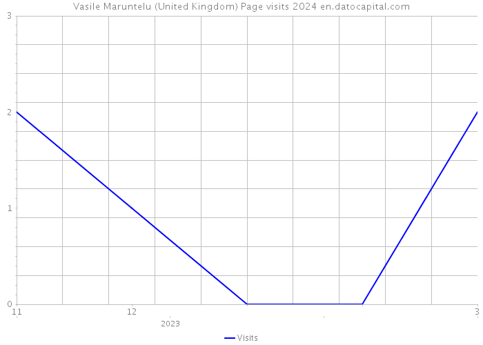 Vasile Maruntelu (United Kingdom) Page visits 2024 
