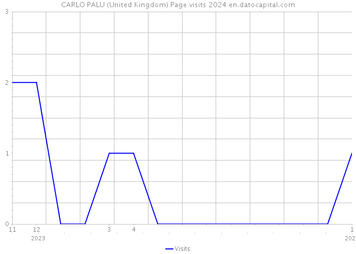CARLO PALU (United Kingdom) Page visits 2024 