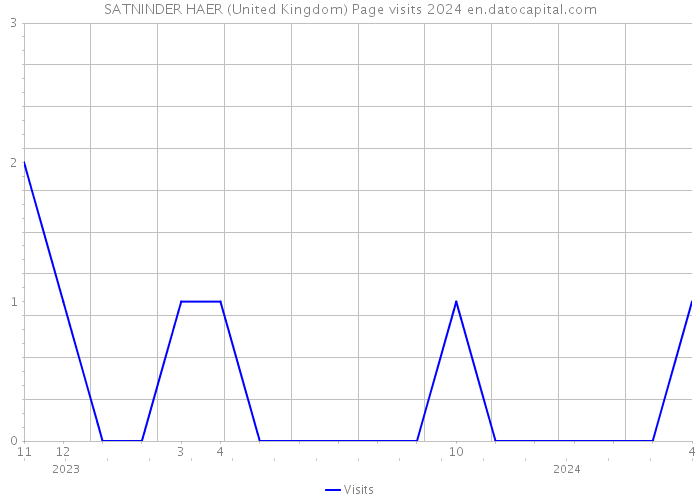 SATNINDER HAER (United Kingdom) Page visits 2024 