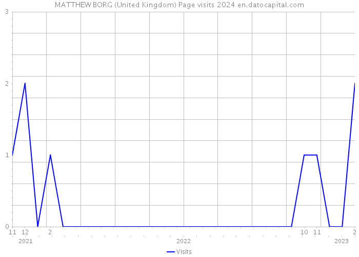MATTHEW BORG (United Kingdom) Page visits 2024 