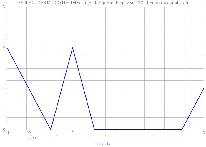 BARRACUDAS MIDCO LIMITED (United Kingdom) Page visits 2024 