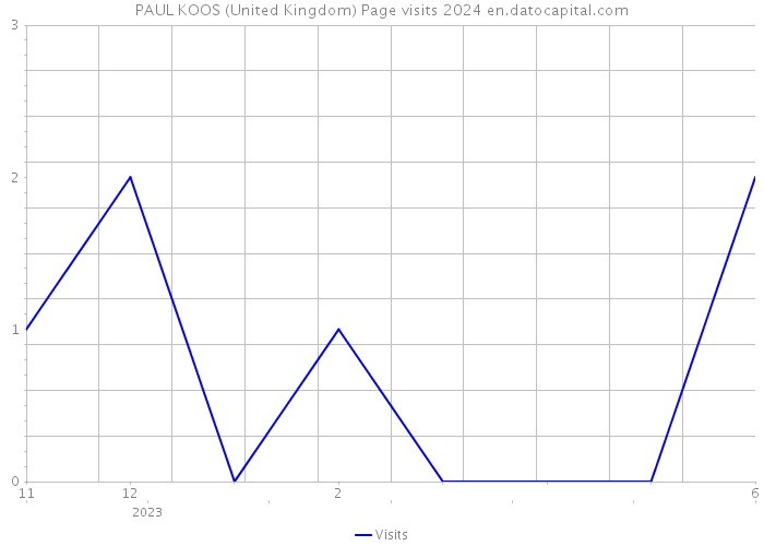 PAUL KOOS (United Kingdom) Page visits 2024 
