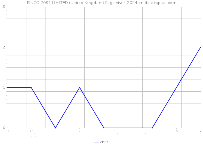 PINCO 2031 LIMITED (United Kingdom) Page visits 2024 