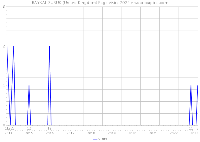 BAYKAL SURUK (United Kingdom) Page visits 2024 